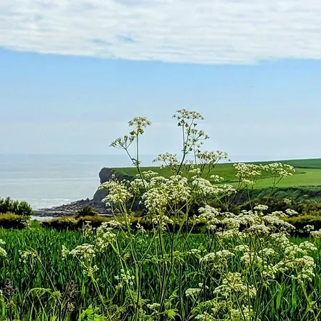 Cober Hill * スカーバラ