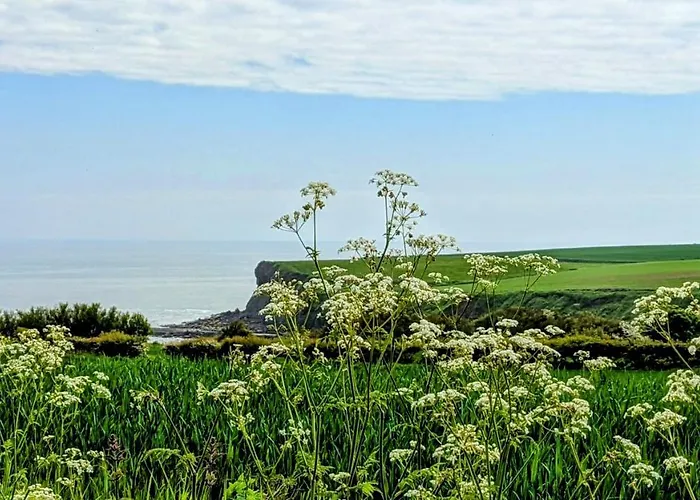 Cober Hill * سكرابورو